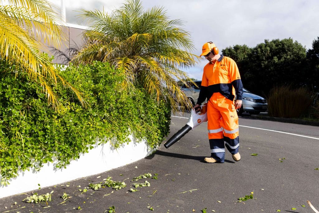 Home Cleaning 7 51a4b6fee4bb386ef4fb8194f50ff45b