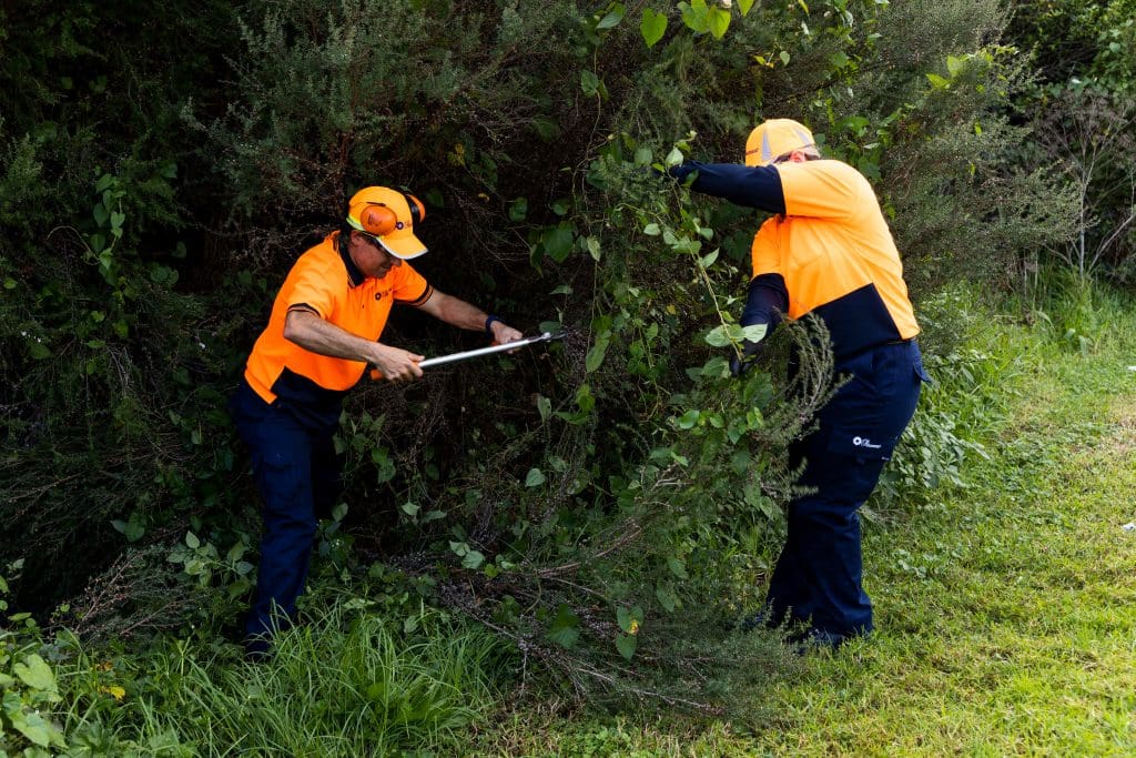 Property
 Maintenance 5 ddbaab6e2083556c96f3ab38ea142f07