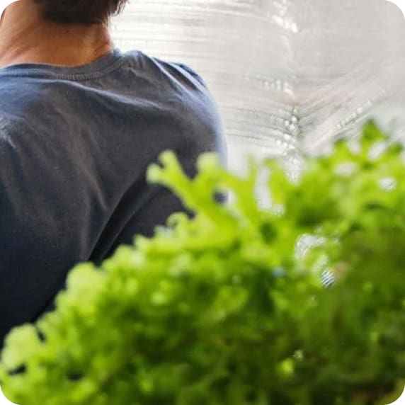 Cleaning Franchise 7 kiwi own